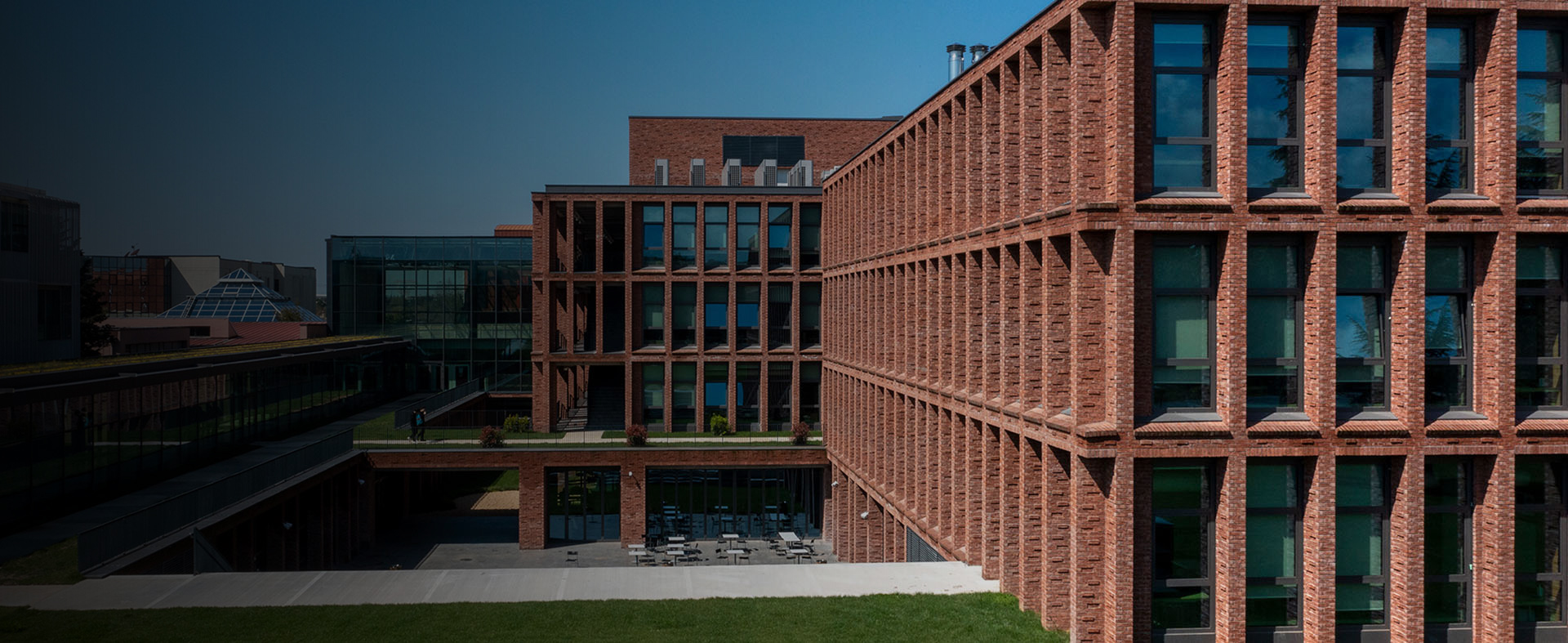 Domestic and International University Placements 2025
