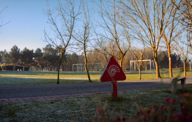 Physical Education and Games