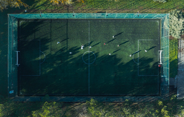 Physical Education and Sports