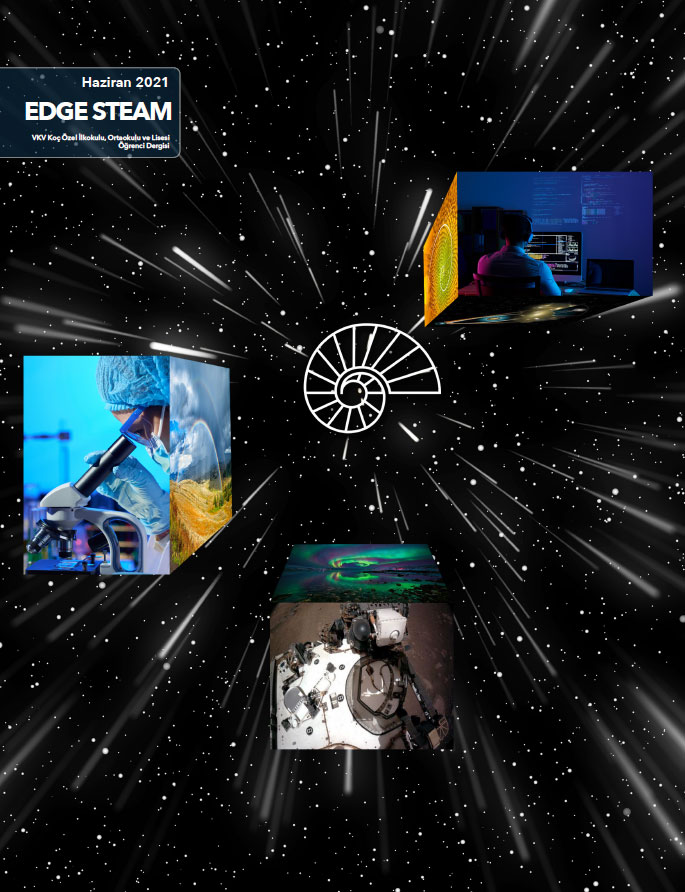 Edge Steam - 2021