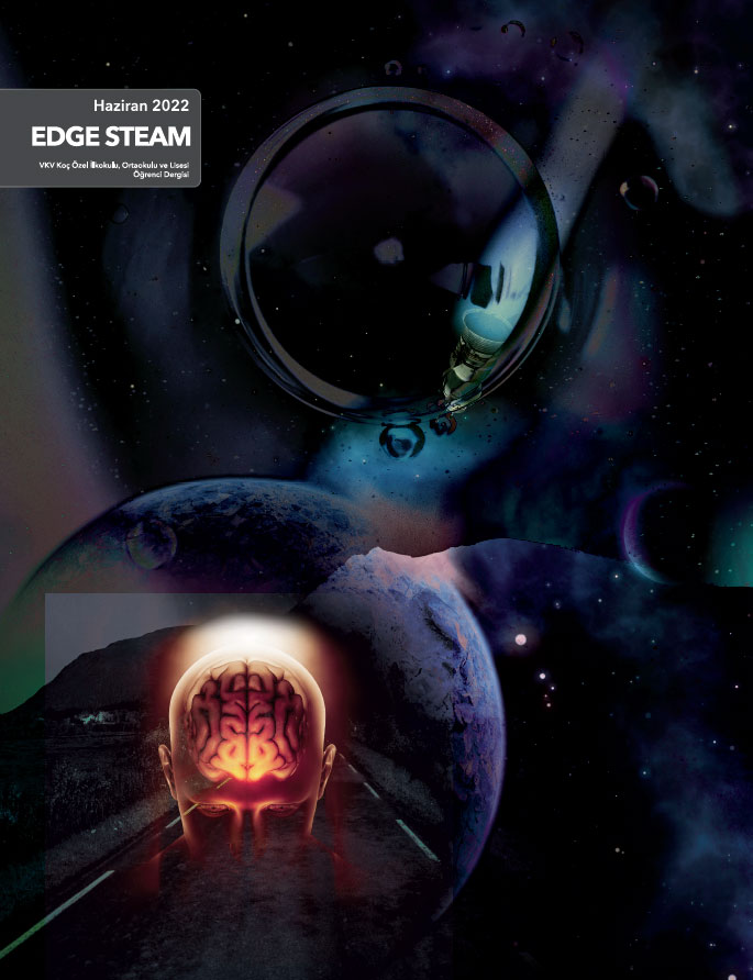 Edge Steam - 2022