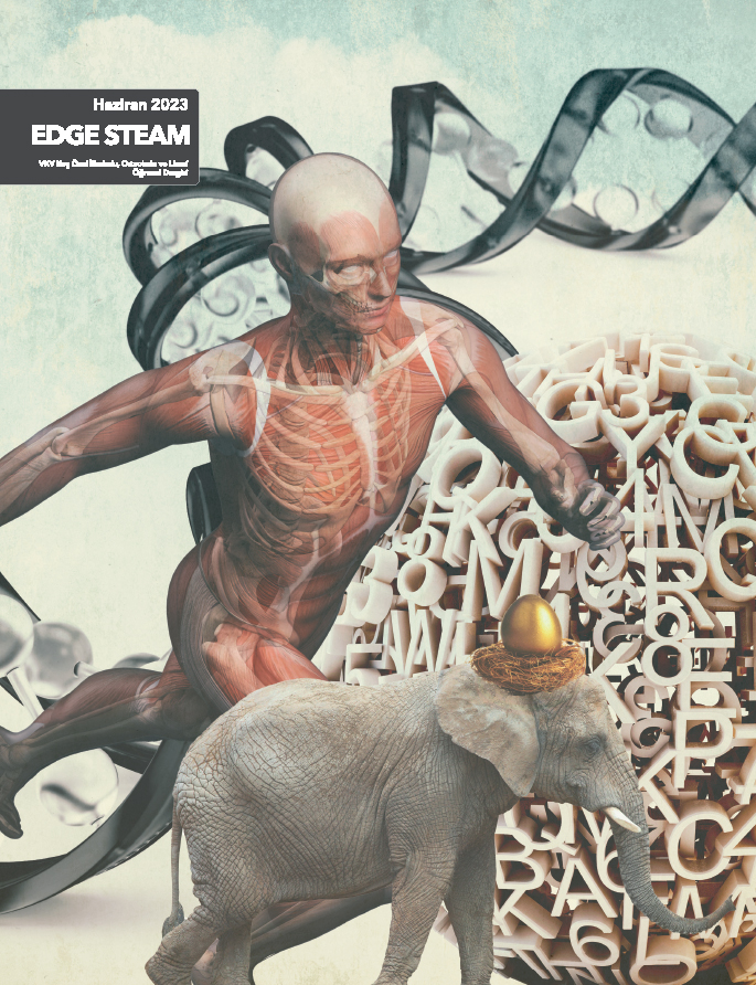 Edge Steam - 2023